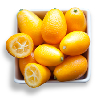 kumquat picture